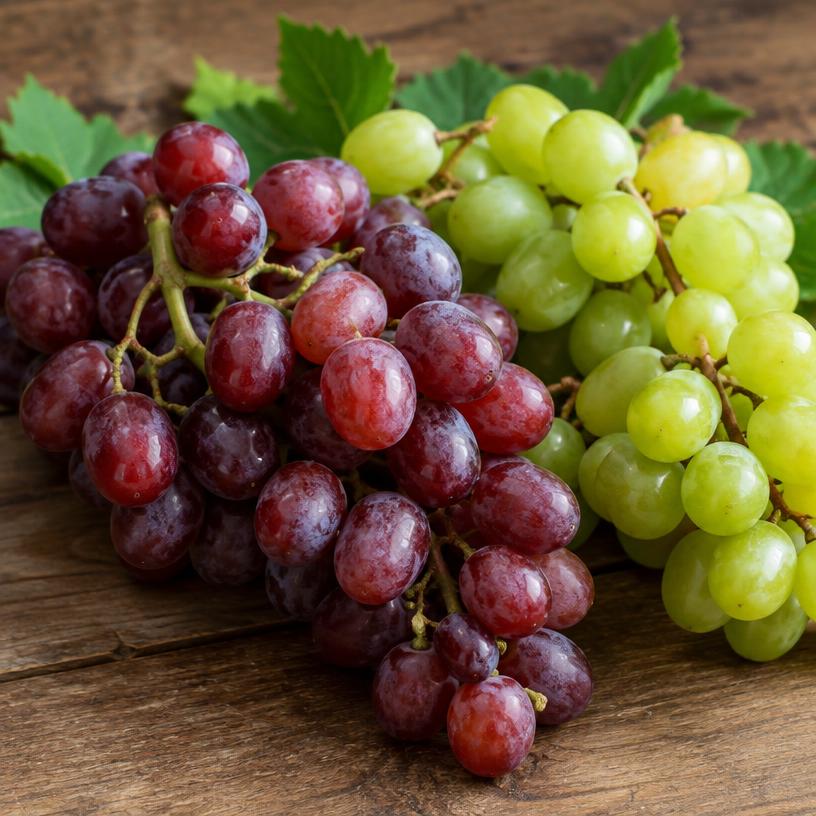 Fresh grapes