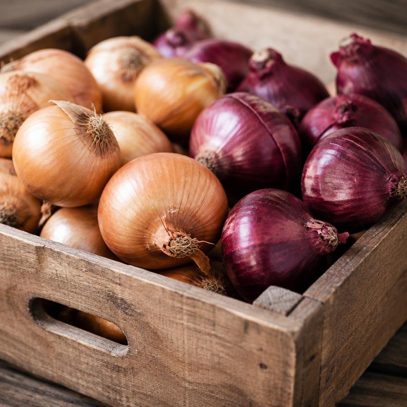Fresh onions