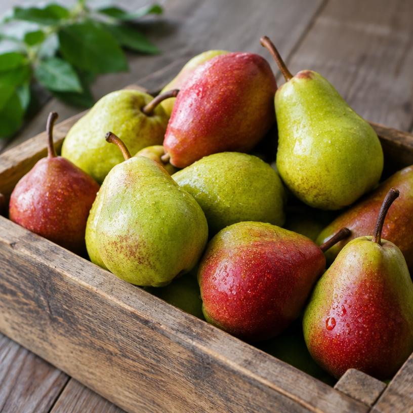 Fresh pears